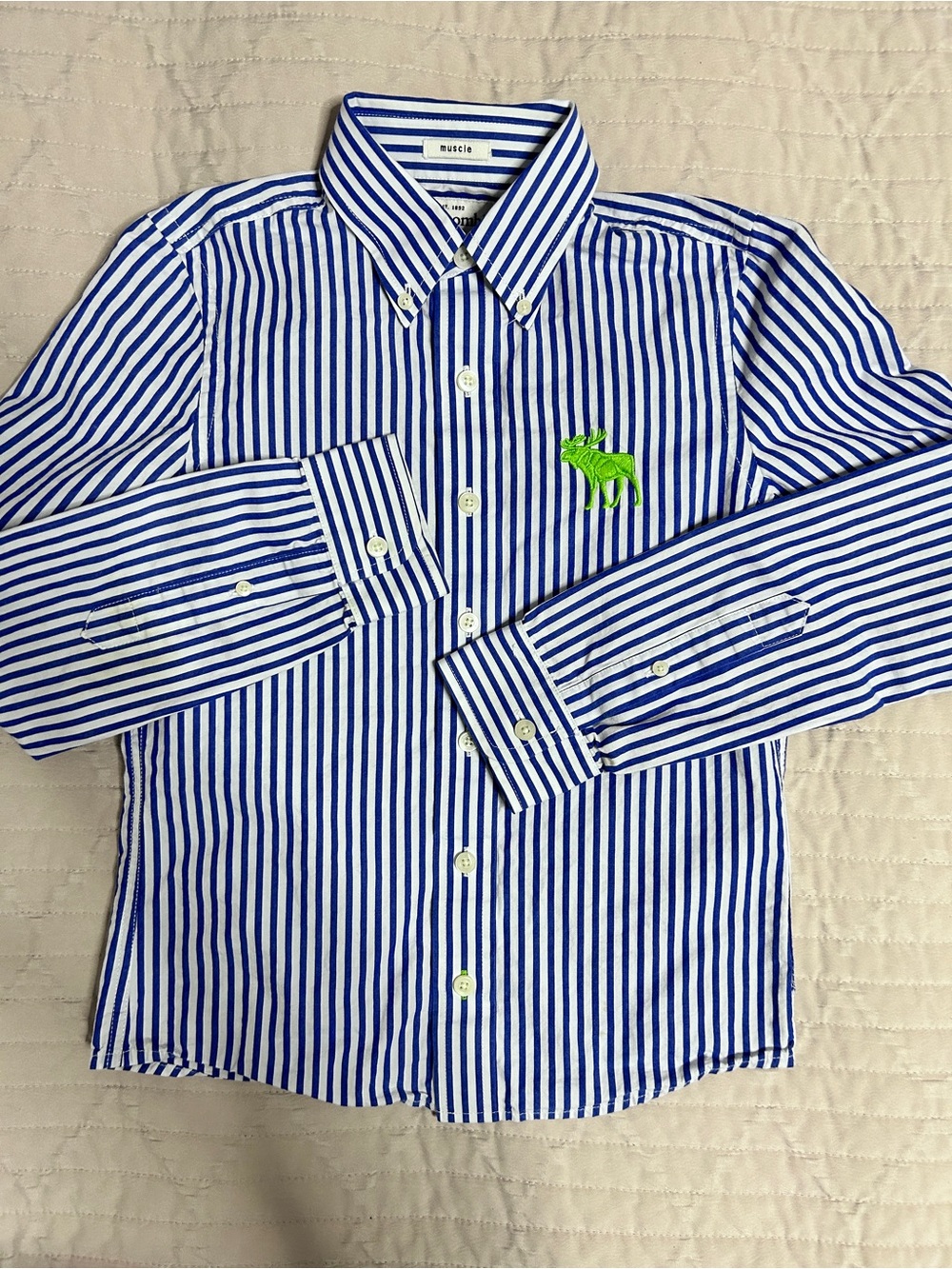 Abercrombie & Fitch Kids Medium Muscle Blue White Striped Button up Shirt Logo